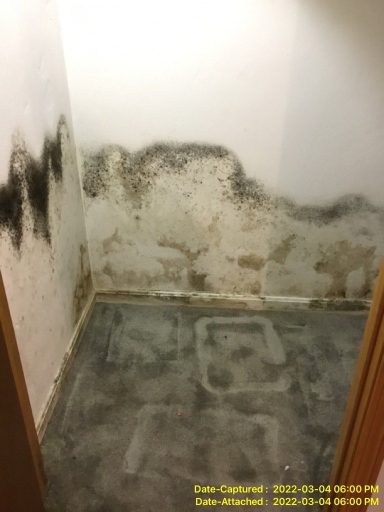 Mold growth on the wall due to water damage