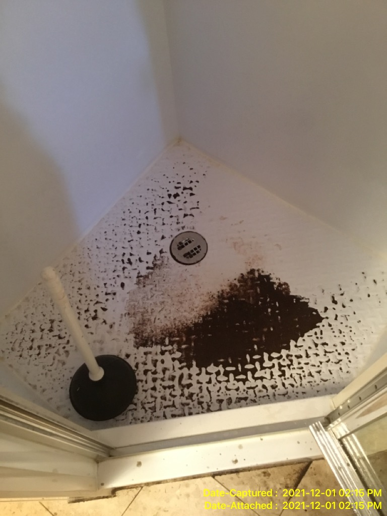 Mold growth in the bathroom sink due to water damage