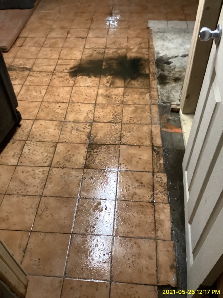 Mold growth on the brown tile floor due to water damage
